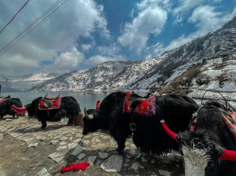 North Sikkim