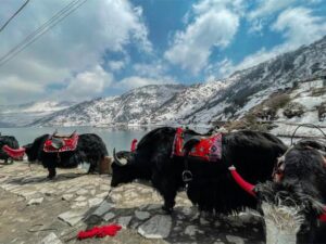 East Sikkim