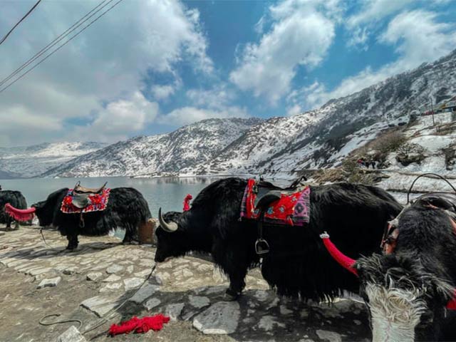 East Sikkim